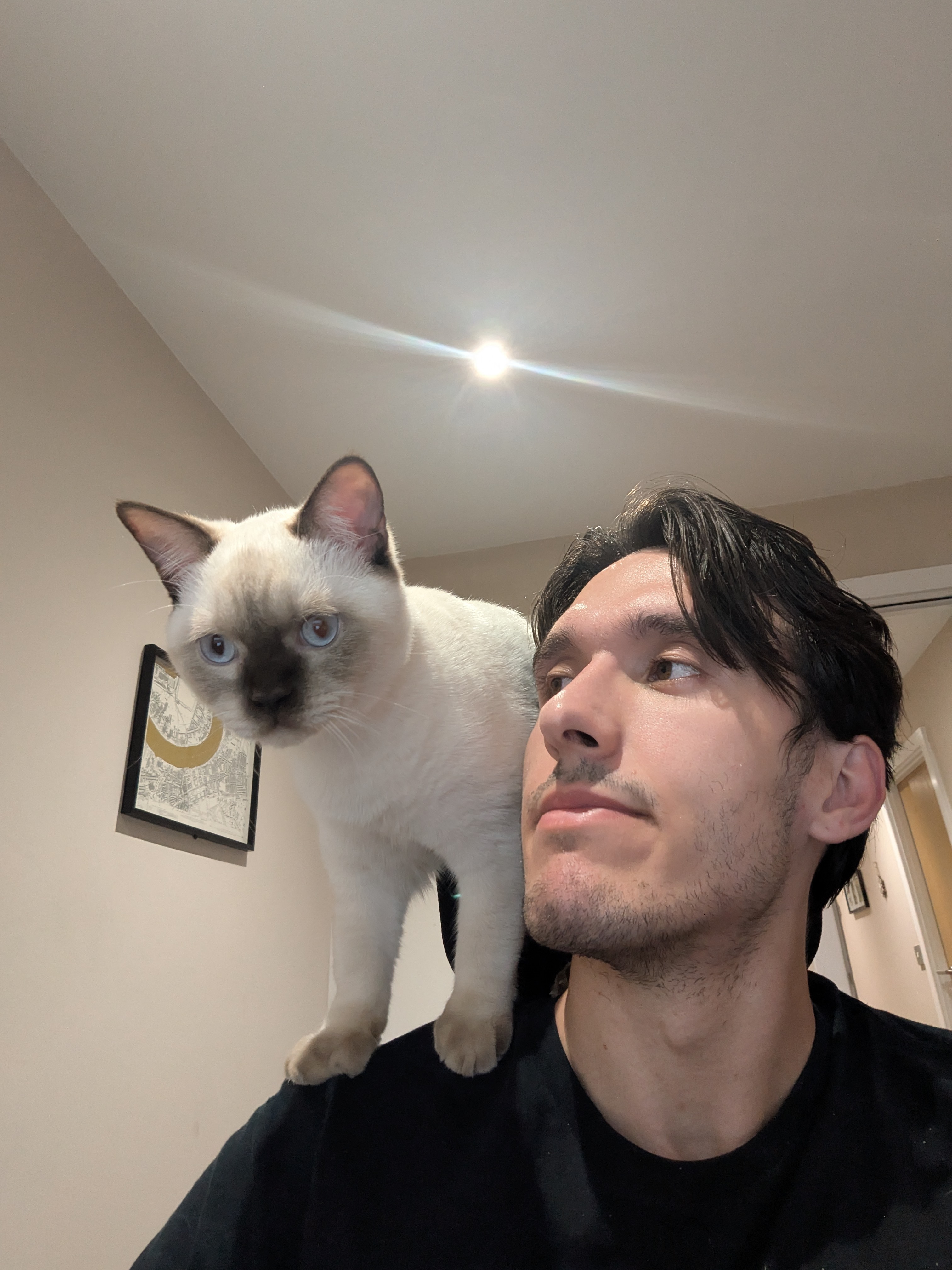 Kristian with a blue-eyed cat standing on his shoulder